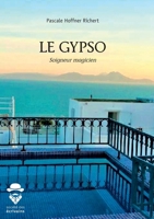 Le Gypso, soigneur magicien (French Edition) 2342168896 Book Cover