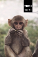 Monkey Ape Week Planner Weekly Organizer Calendar 2020 / 2021 - Breakfast for Little One: Cute Wildlife Animal Pet Bullet Journal Notebook Diary in 6" x 9" Inch Pocket Size 1675639892 Book Cover