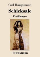 Schicksale: Erzählungen 3743709392 Book Cover