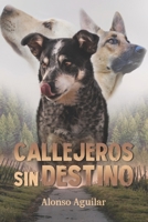 Callejeros sin destino 1637652623 Book Cover