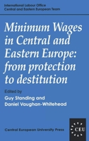 Minimum Wages in Central and Eastern Europe: From Protection to Destitution (Central European University Press Book) 1858660424 Book Cover