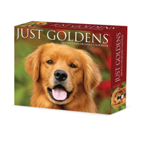 Goldens 2025 6.2 X 5.4 Box Calendar 1549240862 Book Cover