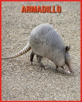 Armadillo: Amazing Pictures and Facts About Armadillo B08W7R1GYX Book Cover