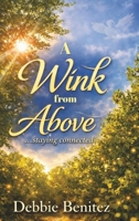 A Wink from Above: Staying Connected B0GXN29ST3 Book Cover