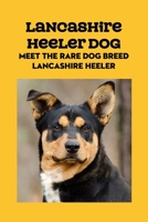 Lancashire Heeler Dog: Meet The Rare Dog Breed Lancashire Heeler: Lancashire Heeler Dog Info, Temperament, Puppies, Pictures B09DMRJDSN Book Cover