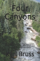 Four Canyons: Our Experience Hiking In the Grand Canyon, Caprock Canyon and Palo Doro Canyon, and Longmenjian Canyon As a Family B086FYBRDC Book Cover