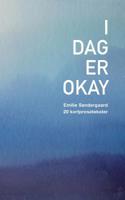 I Dag Er Okay (Danish Edition) 8743008674 Book Cover