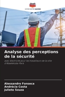 Analyse des perceptions de la sécurité 6207356721 Book Cover