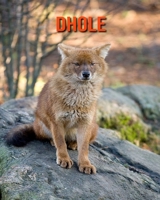 Dhole: Amazing Facts about Dhole B08L41B8XY Book Cover