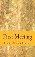 First Meeting 1094886734 Book Cover