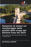 Relazione di sintesi sul monitoraggio della qualità delle acque del Burkina Faso nel 2025 (Italian Edition) 6630112563 Book Cover