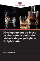 Développement de blocs de chaussée à partir de déchets de polyéthylène téréphtalate (French Edition) 6208710383 Book Cover