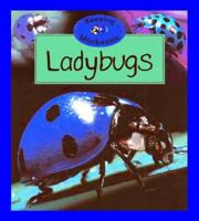 Ladybug (Stopwatch Series) 0382094417 Book Cover