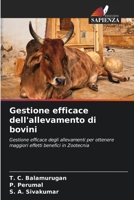 Gestione efficace dell'allevamento di bovini (Italian Edition) 6208585430 Book Cover