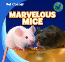 Pet Corner: Marvelous Mice 1433962977 Book Cover