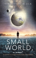 Small World, a novel: The true story of a fictional person's triumph over agoraphobia 1665769688 Book Cover