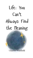 Life: You Can't Always Find the Meaning 1805662902 Book Cover