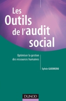 Les outils de l'audit social - Optimiser la gestion des ressources humaines: Optimiser la gestion des ressources humaines 2100505440 Book Cover