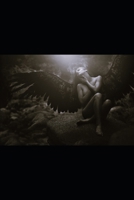 Shadowhouse Series: Sanity's Release Volume 2 1523858109 Book Cover