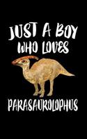 Just A Boy Who Loves Parasaurolophus: Animal Nature Collection 107993815X Book Cover