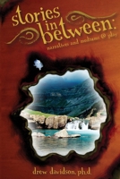 stories in between: narratives and mediums @ play 1435720806 Book Cover
