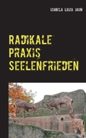 Radikale Praxis Seelenfrieden 3753427292 Book Cover