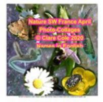 Nature SW France April Photo-Collages, Names in English 1714675459 Book Cover