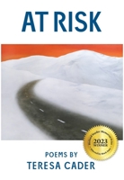 AT RISK 1964957001 Book Cover