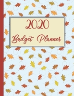 2020 Budget Planner: An Easy To Use Financial Planner And Budget Organizer 169357232X Book Cover