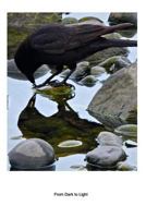 From Dark To Light 136727219X Book Cover