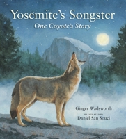 Yosemite's Songster: One Coyote's Story 1951179528 Book Cover