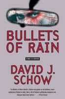 Bullets of Rain: A Novel of Suspense 0060536675 Book Cover