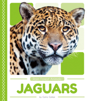 Jaguars 1635178223 Book Cover