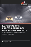 LA FORMAZIONE PROFESSIONALE DEL GIOVANE APPRENDISTA: LA MANUTENZIONE AUTOMOBILISTICA E IL MERCATO DEL LAVORO 6205945754 Book Cover