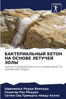 БАКТЕРИАЛЬНЫЙ БЕТОН НА ОСНОВЕ ЛЕТУЧЕЙ ЗО&#1051 6203778338 Book Cover