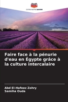 Faire face à la pénurie d'eau en Égypte grâce à la culture intercalaire 6209643809 Book Cover