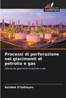 Processi di perforazione nei giacimenti di petrolio e gas: Attività dei giacimenti di petrolio e gas (Italian Edition) 6206612694 Book Cover