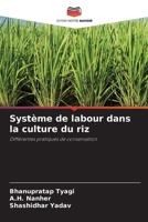 Système de labour dans la culture du riz 6209097804 Book Cover