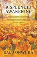 A Splendid awakening 0990020339 Book Cover