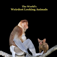 Weirdest Looking Animals in the World Kids Book: Great Way for kids to Meet the World's Weirdest Looking Animals 1960612786 Book Cover