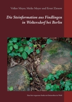 Die Steinformation aus Findlingen in Woltersdorf bei Berlin: Eine fast vergessene Senke mit Steinreihen im Wald 375196746X Book Cover
