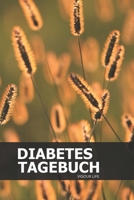 Diabetes Tagebuch: Blutzucker und Insulin im Blick behalten für mehr als 100 Tage - Klein & Kompakt ca. A5 (German Edition) 1687424624 Book Cover