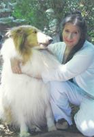 Birdsong, Barks, and Banter: Adventures of an Animal Intuitive Reiki Master and Her Home of Misfit Companions 0988517108 Book Cover