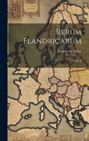 Rerum Flandricarum: Tomi X 1022424807 Book Cover