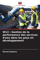 W13 : Gestion de la performance des services d'eau dans les pays en développement 6205903806 Book Cover
