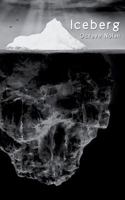 Iceberg 2322099848 Book Cover