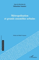 Métropolisation et grands ensembles urbains (Droit Des Collectivités Territoriales) (French Edition) 2336408791 Book Cover