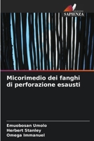 Micorimedio dei fanghi di perforazione esausti (Italian Edition) 6207859960 Book Cover