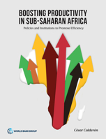 Boosting Productivity in Sub-Saharan Africa 146481550X Book Cover