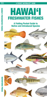 Hawai'i Freshwater Fishes: A Folding Pocket Guide to Native and Introduced Species 1620058308 Book Cover